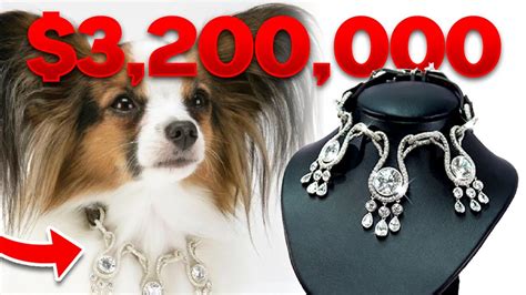 most expensive dog collars